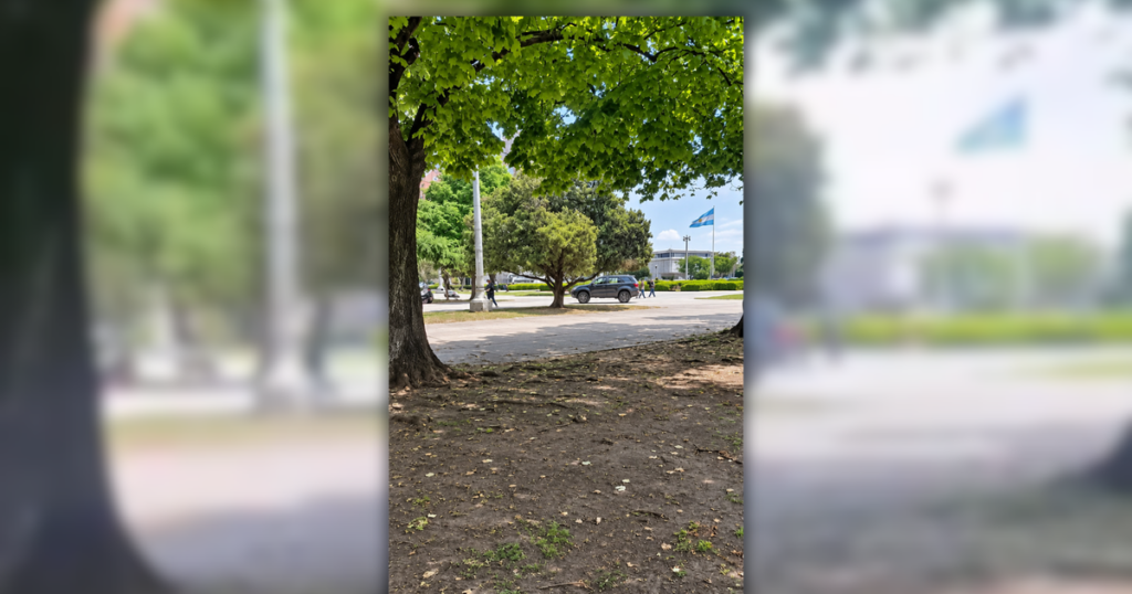 portada-camioneta-plaza-moreno.png